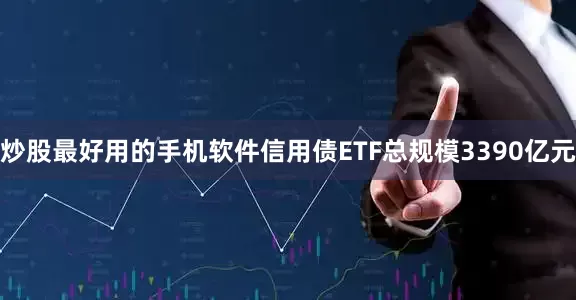 炒股最好用的手机软件信用债ETF总规模3390亿元