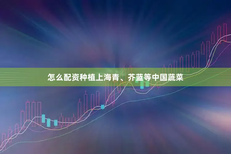 怎么配资种植上海青、芥蓝等中国蔬菜